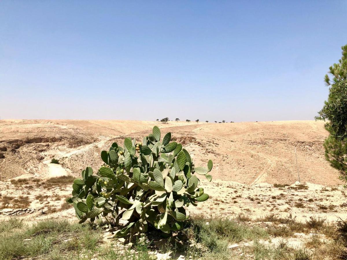 דירות ערד רגע של חסד מראה חיצוני תמונה
